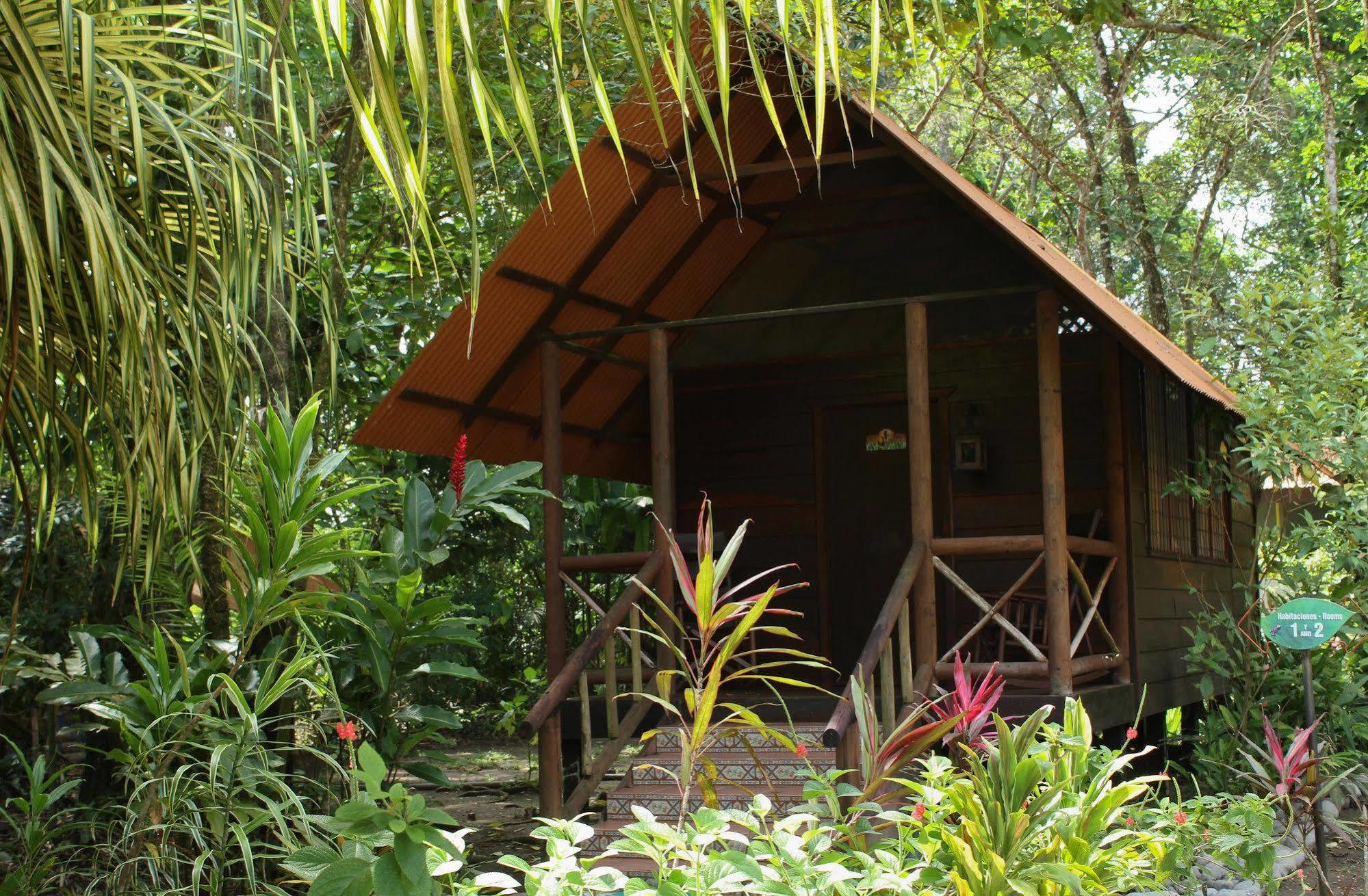 Evergreen Lodge Tortuguero Exterior foto